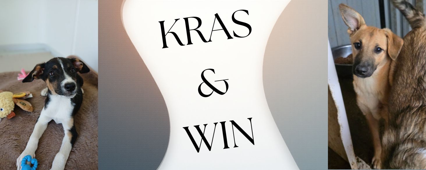 kras & help