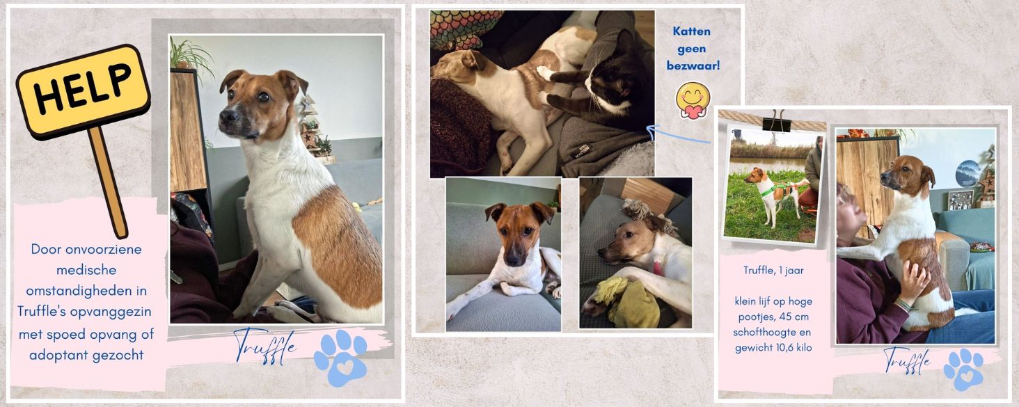 noodoproep voor Truffle