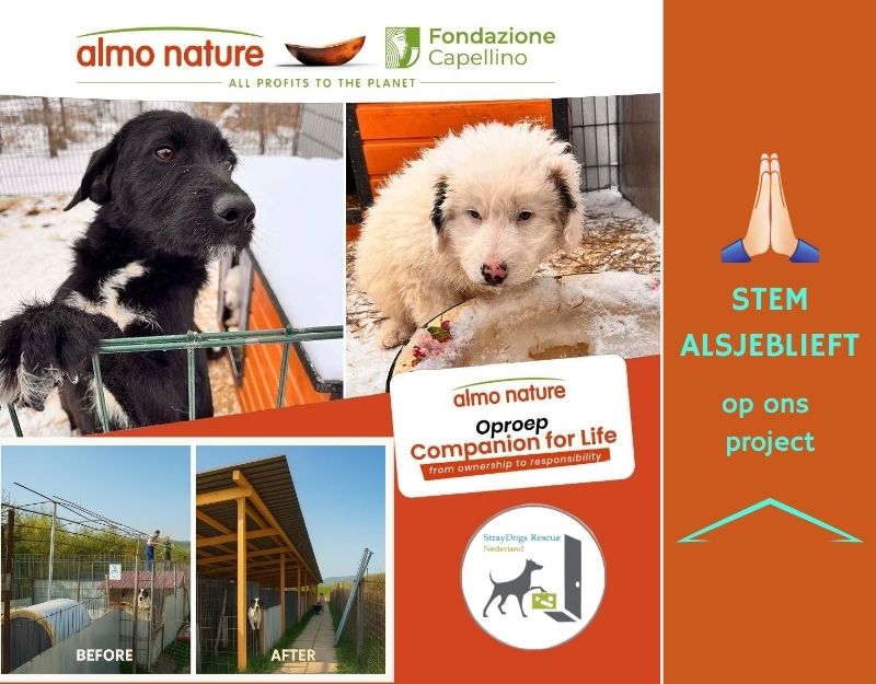 almo project