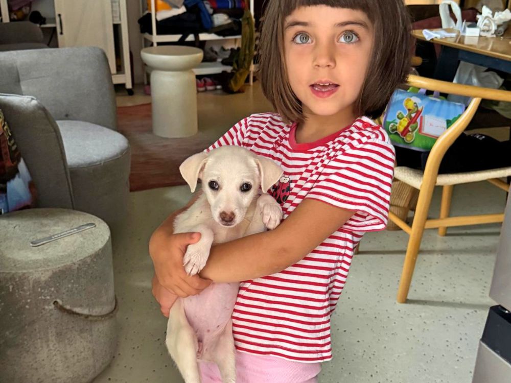 puppy adopteren