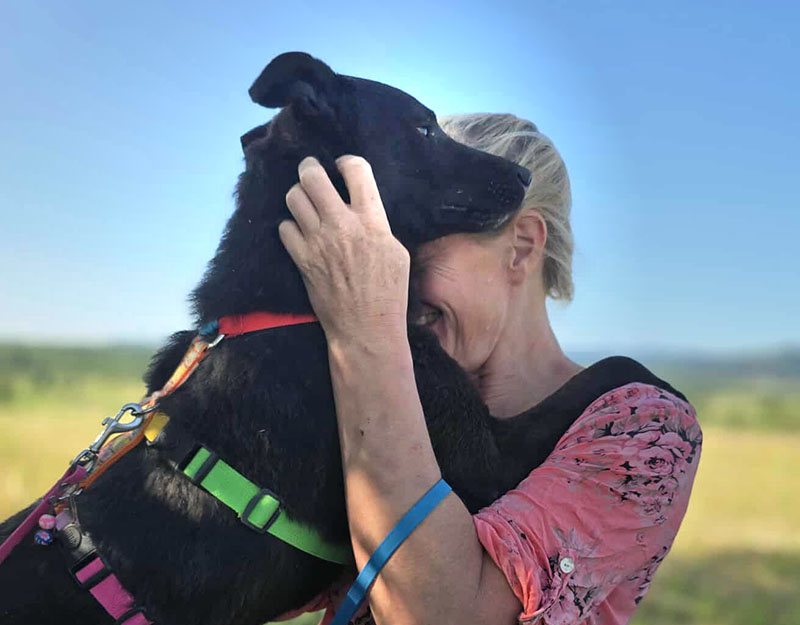 buitenlandse hond adopteren