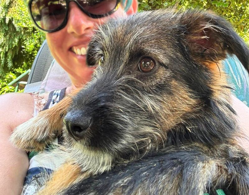 herplaatsing pup in nederland