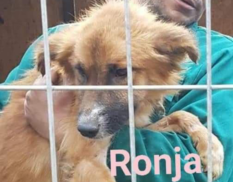 Ronja