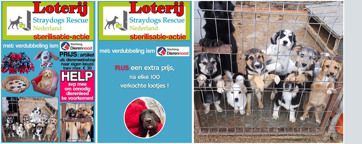 loterij actie sterilisaties