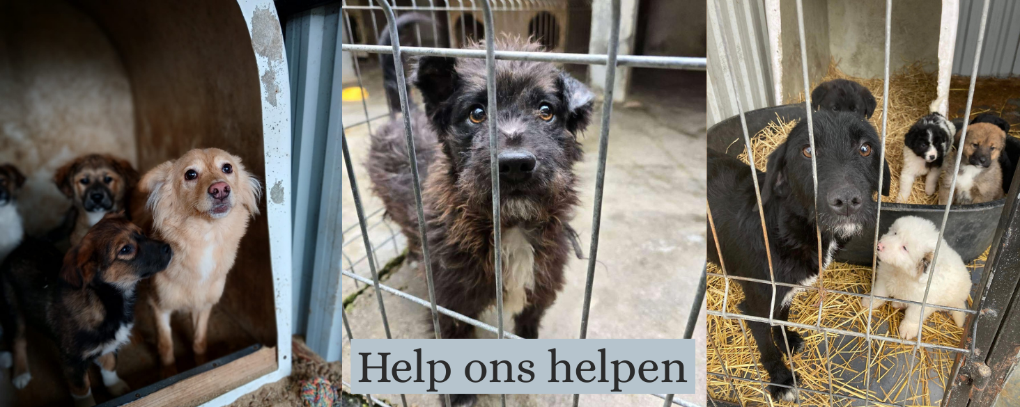 help ons helpen