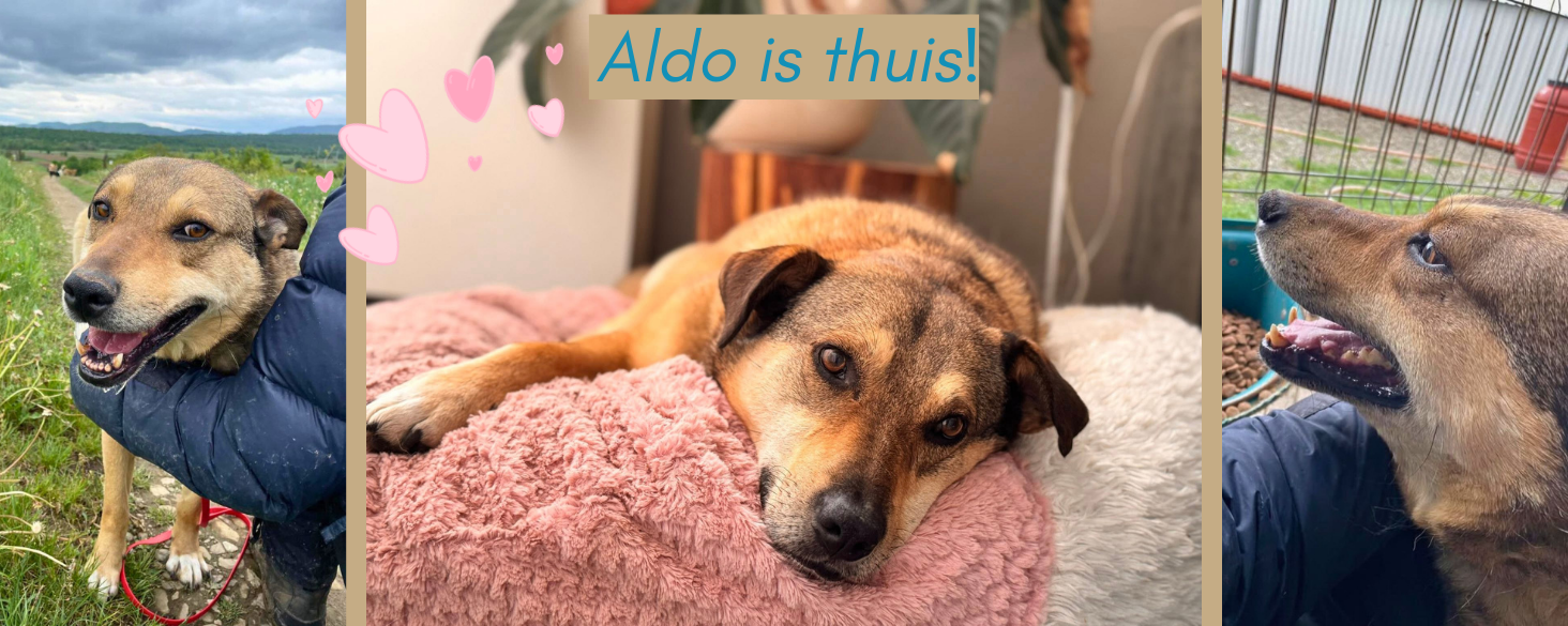 Aldo is thuis