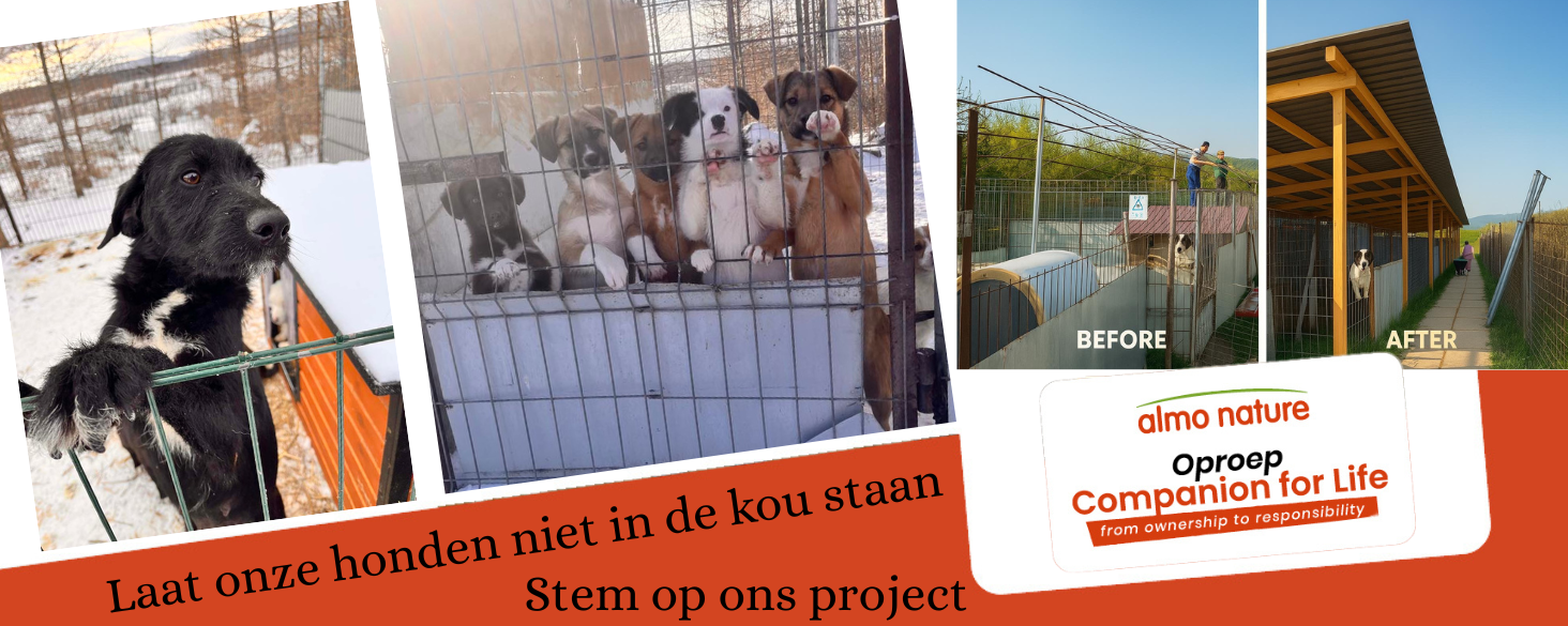 Stem op ons!