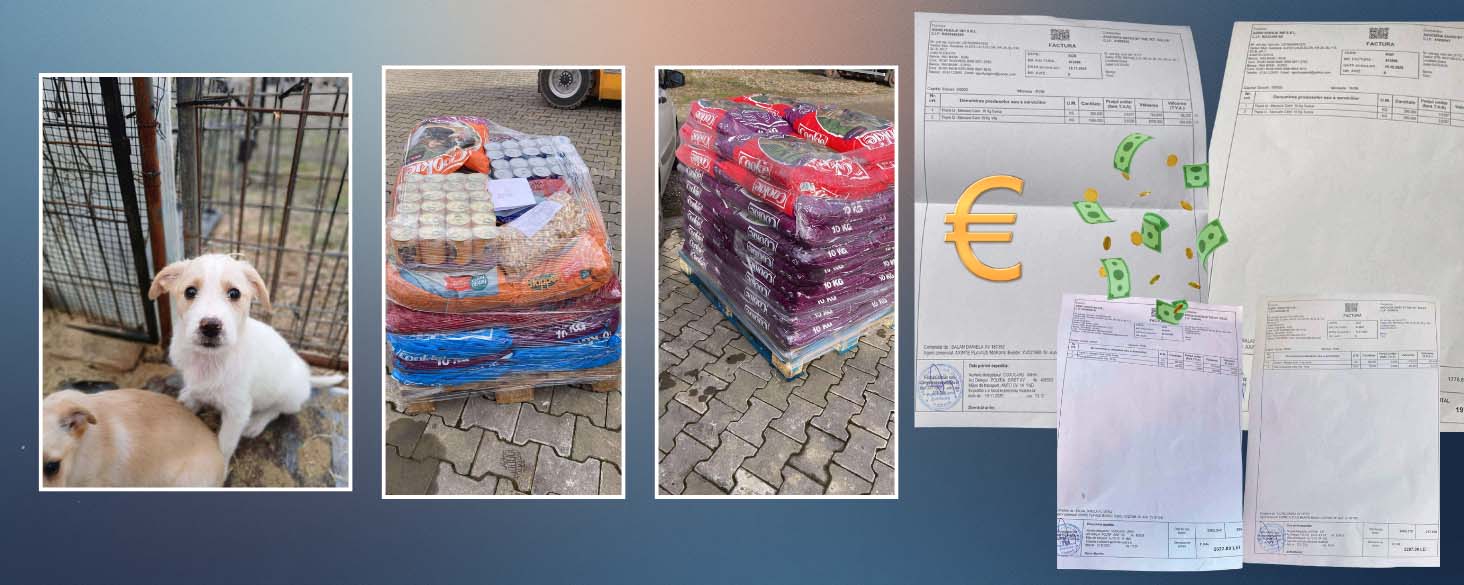 actie voer voor de honden in Elisa's asiel