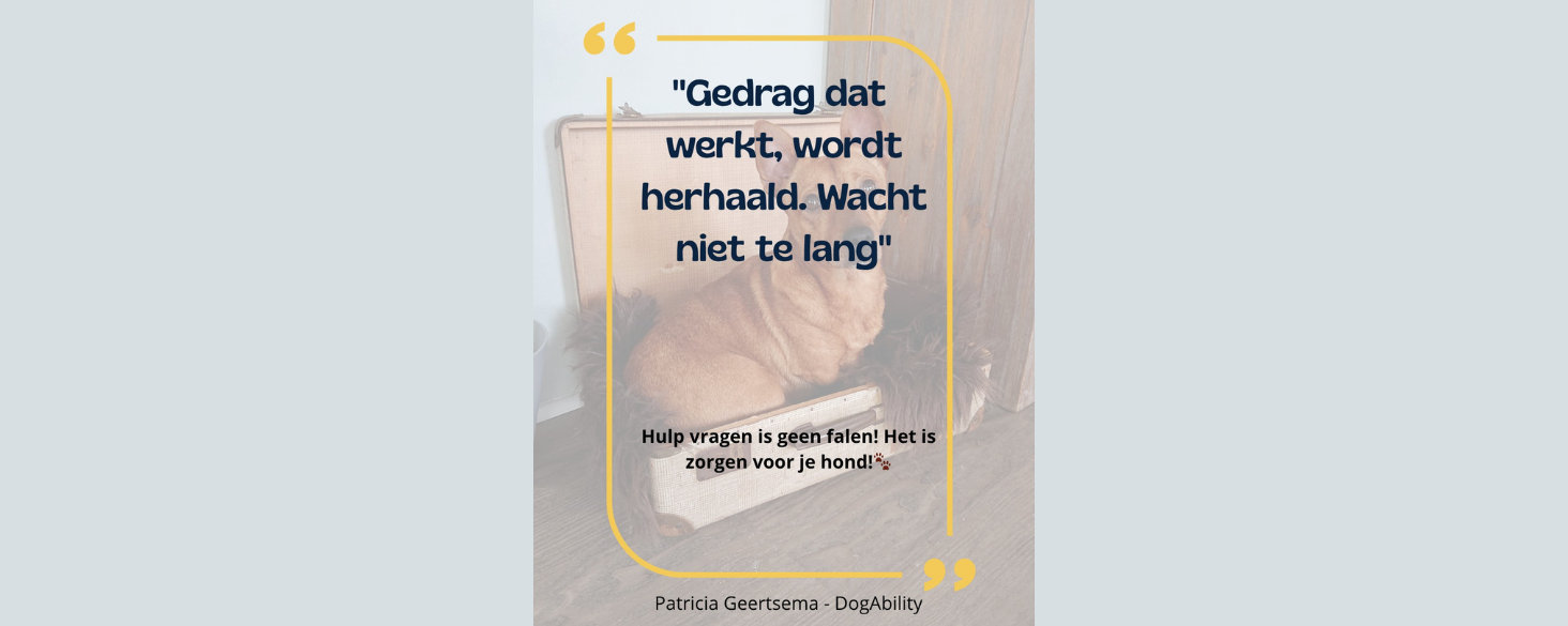 Wacht niet te lang met zoeken naar hulp