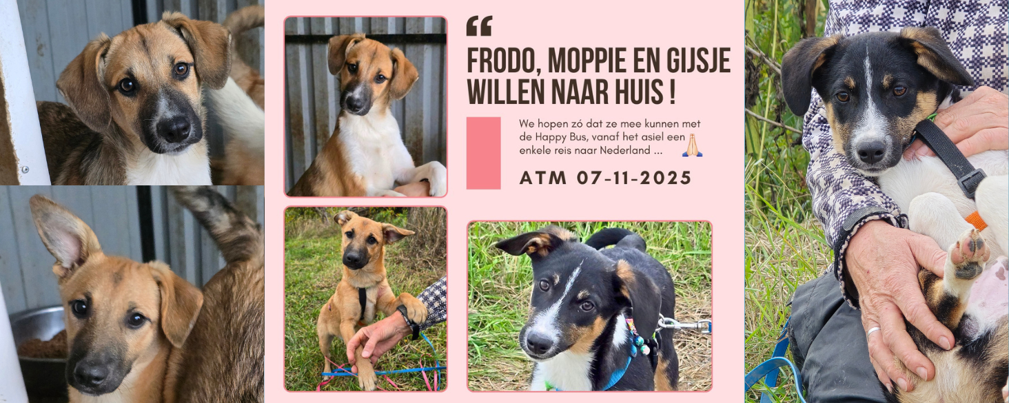 Noodoproep voor 3 musketiers