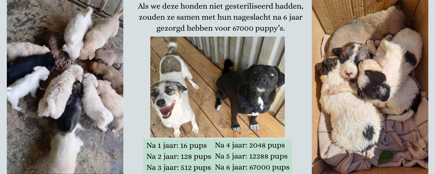 Facebook groep