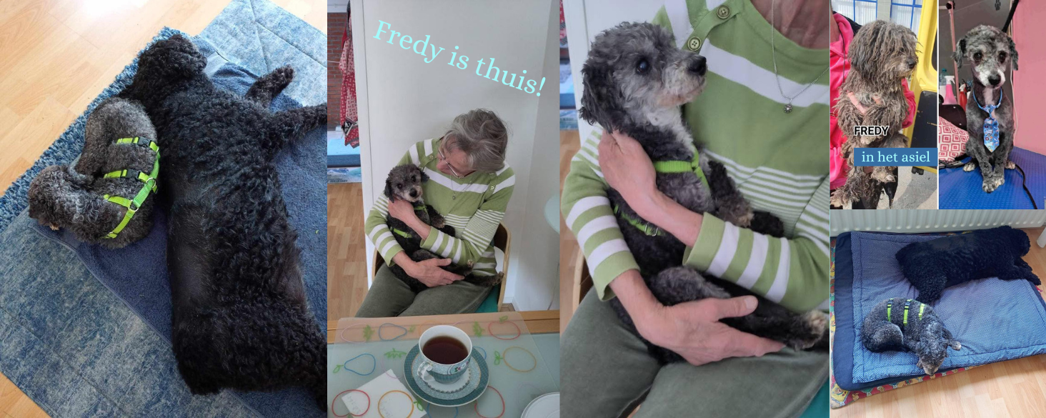 Fredy is thuis