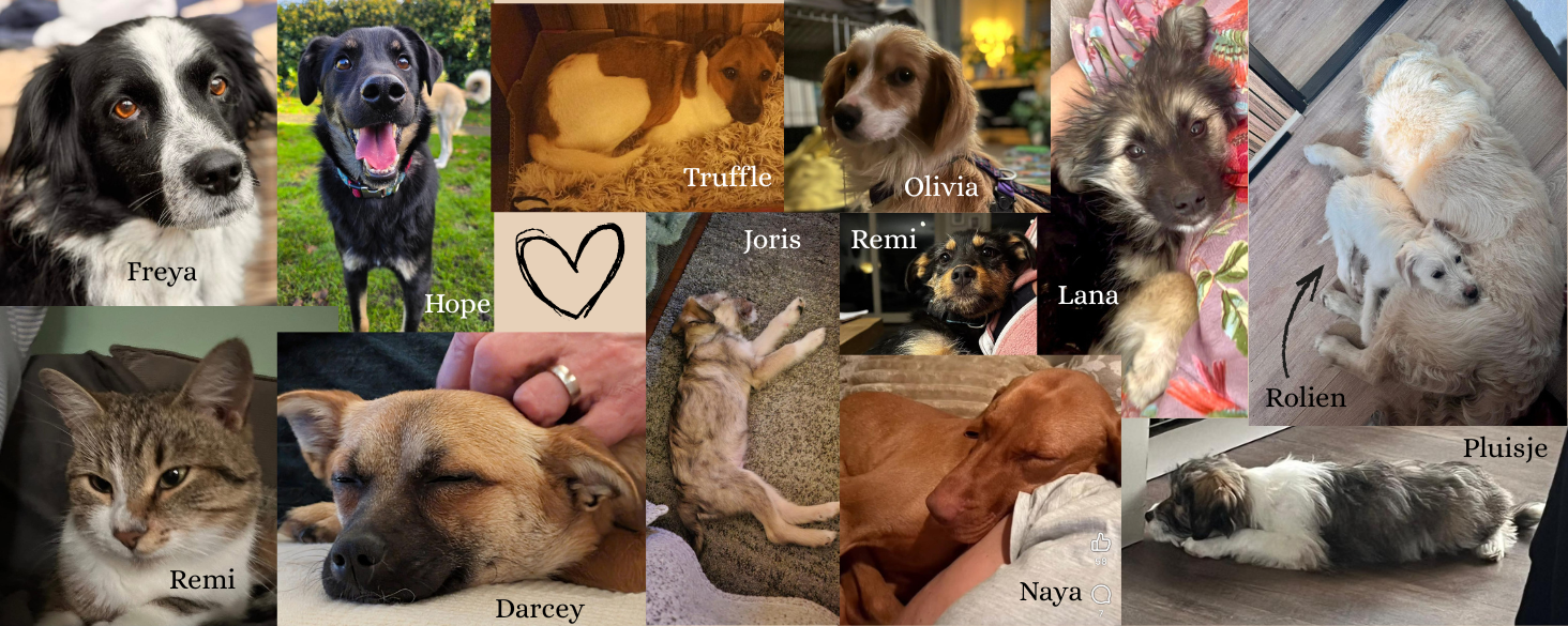 11 + 1 keer goed nieuws