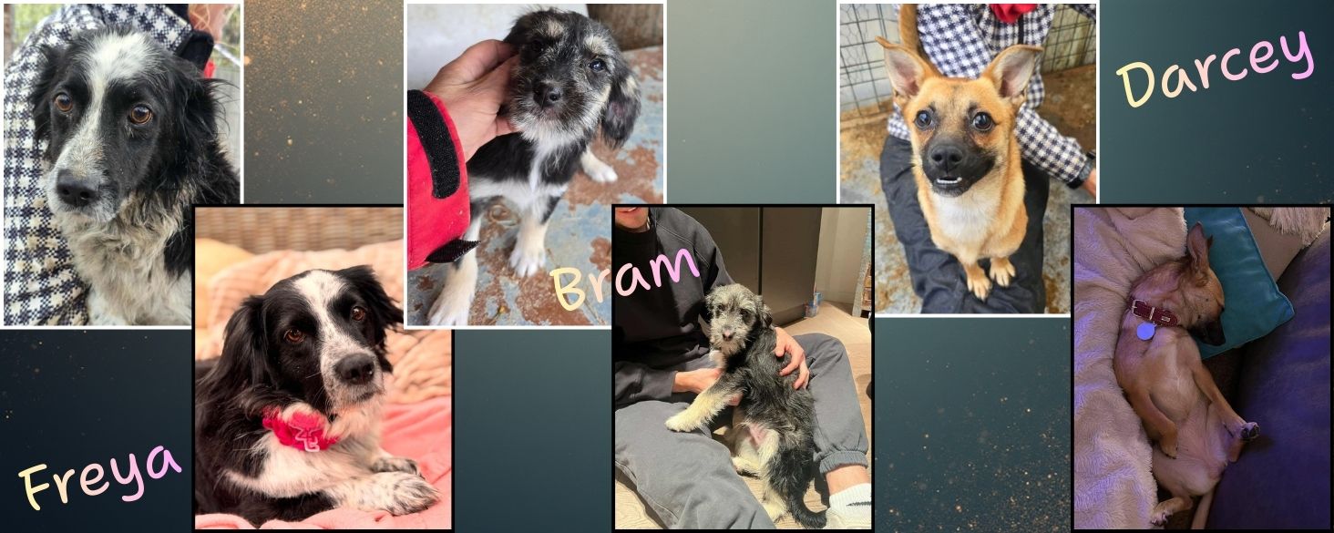 Driemaal goed nieuws