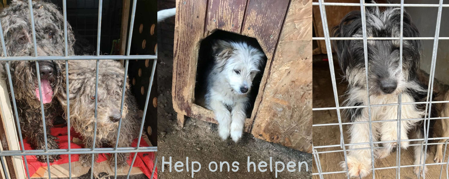 help ons helpen