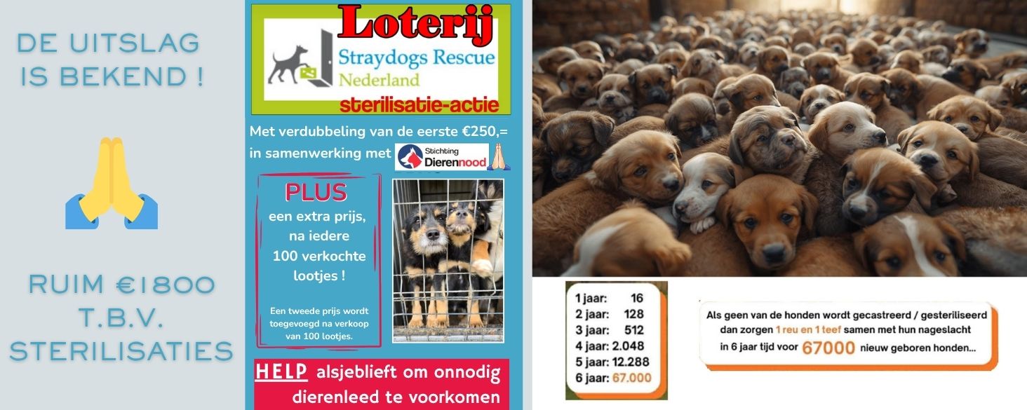 loterij sterilisaties