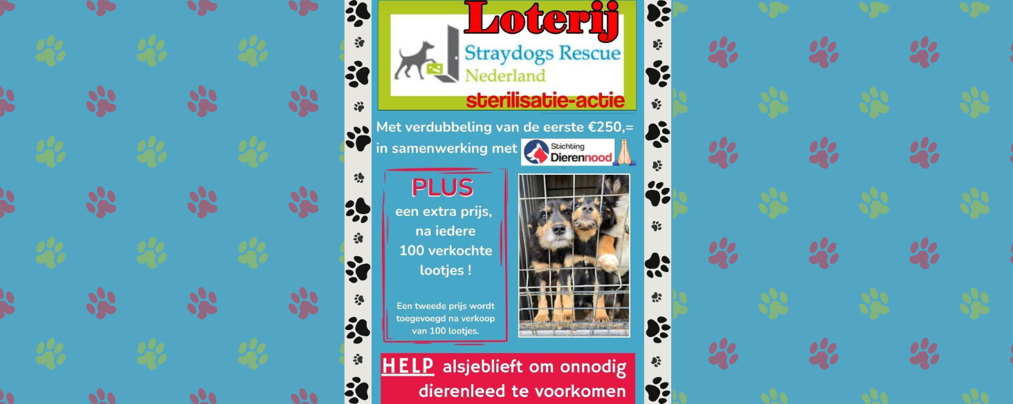loterij tbv sterilisatie honden roemenië