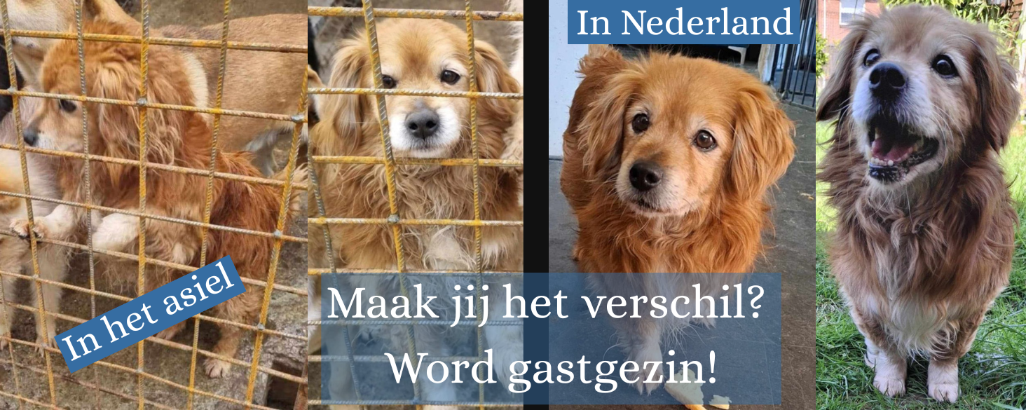 Maak jij het verschil?