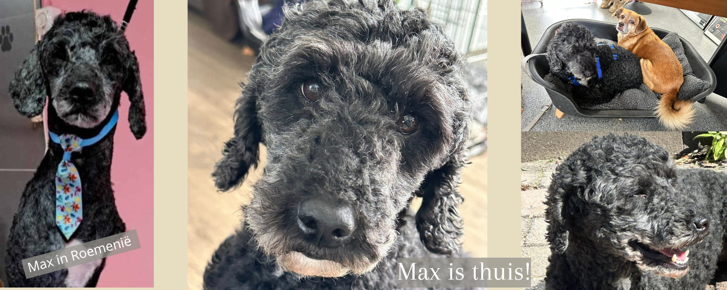 Max is thuis