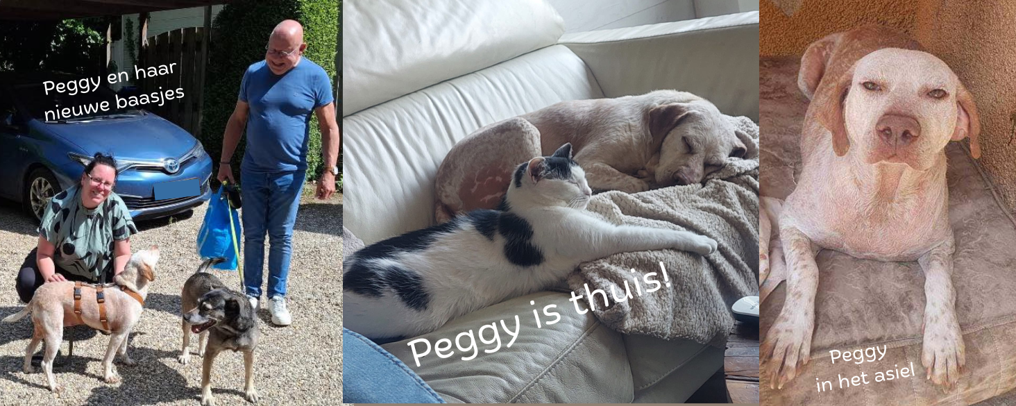 Peggy is thuis