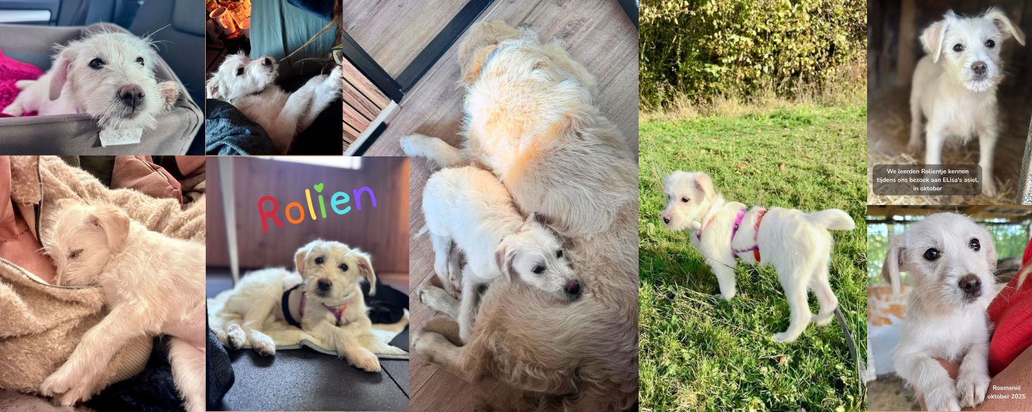 Rolien zoekt thuis