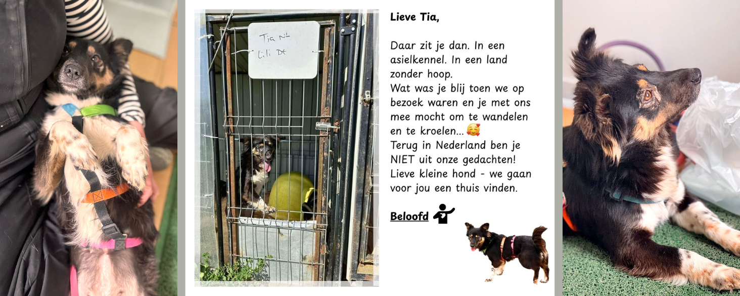 Tia zoekt thuis