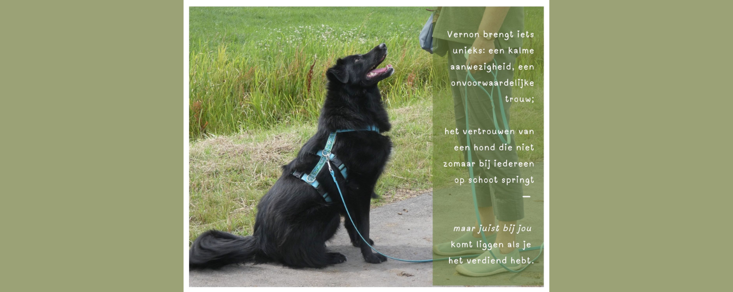 Vernon zoekt thuis