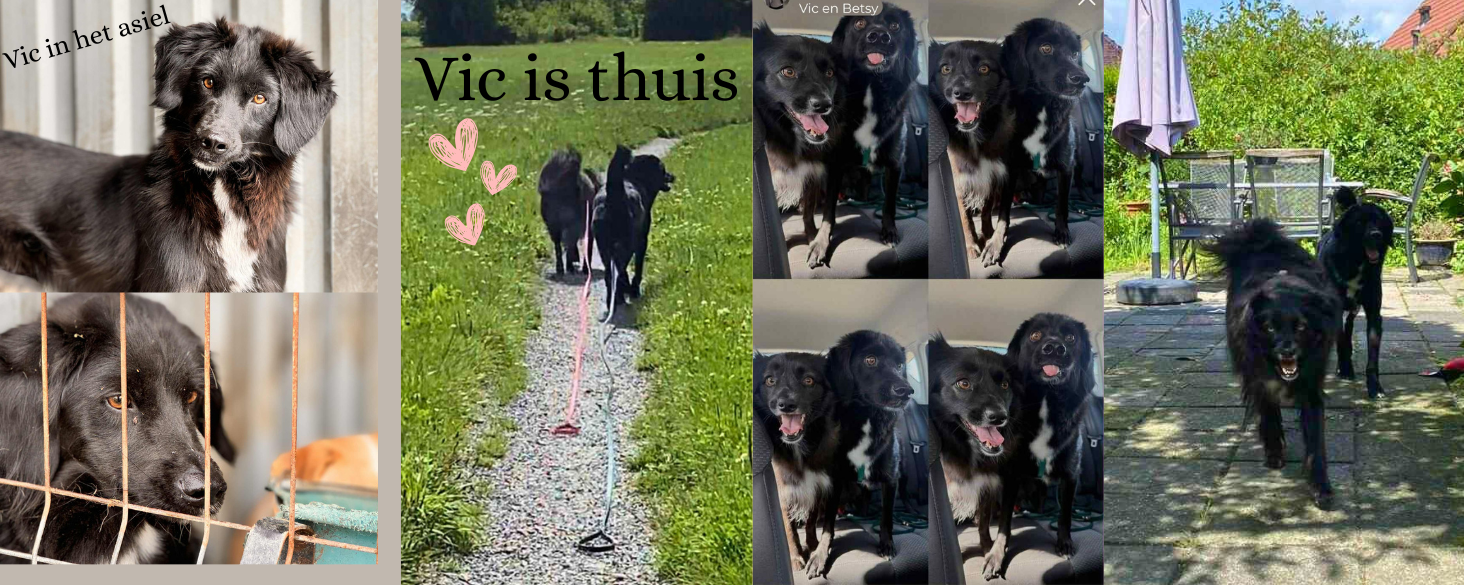 Vic is thuis