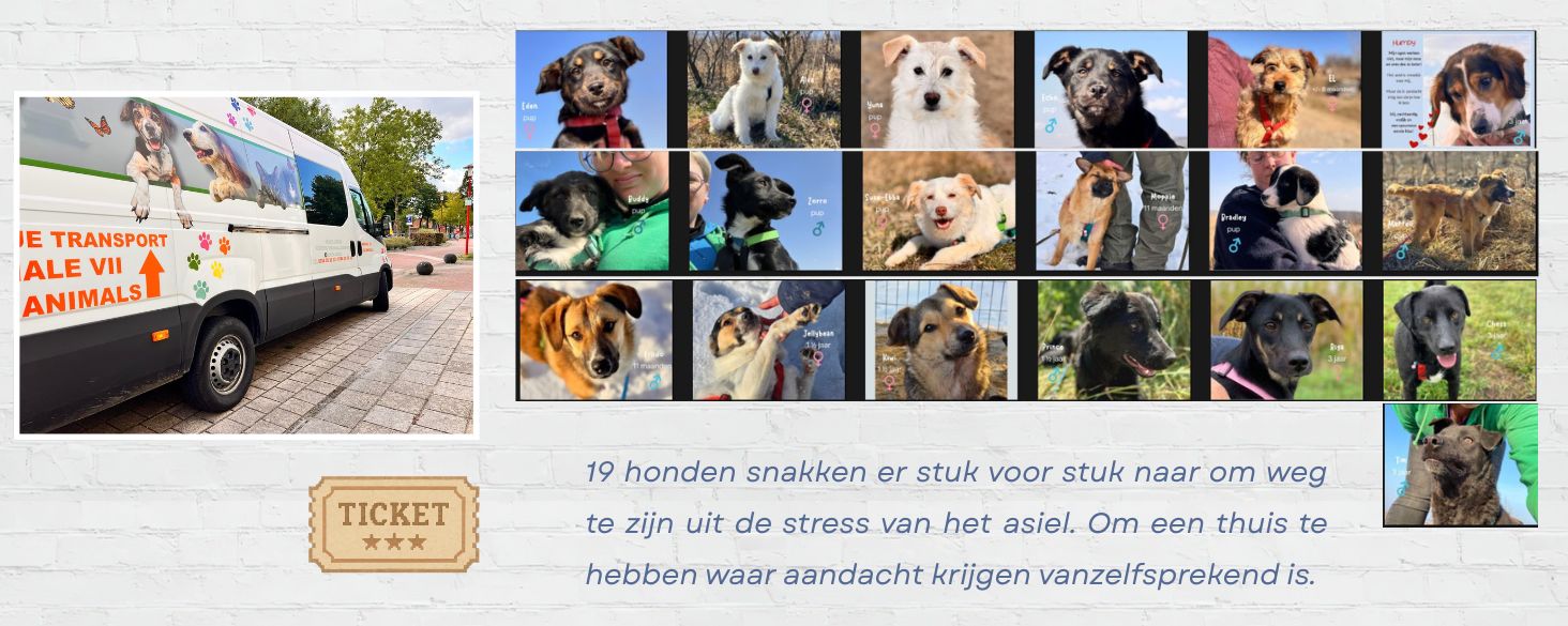 geadopteerde honden