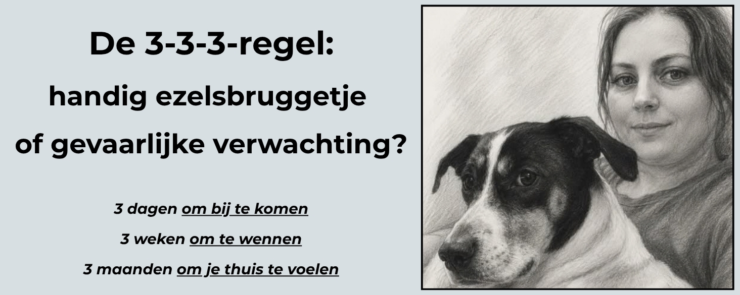 3-3-3 Regel voor honden