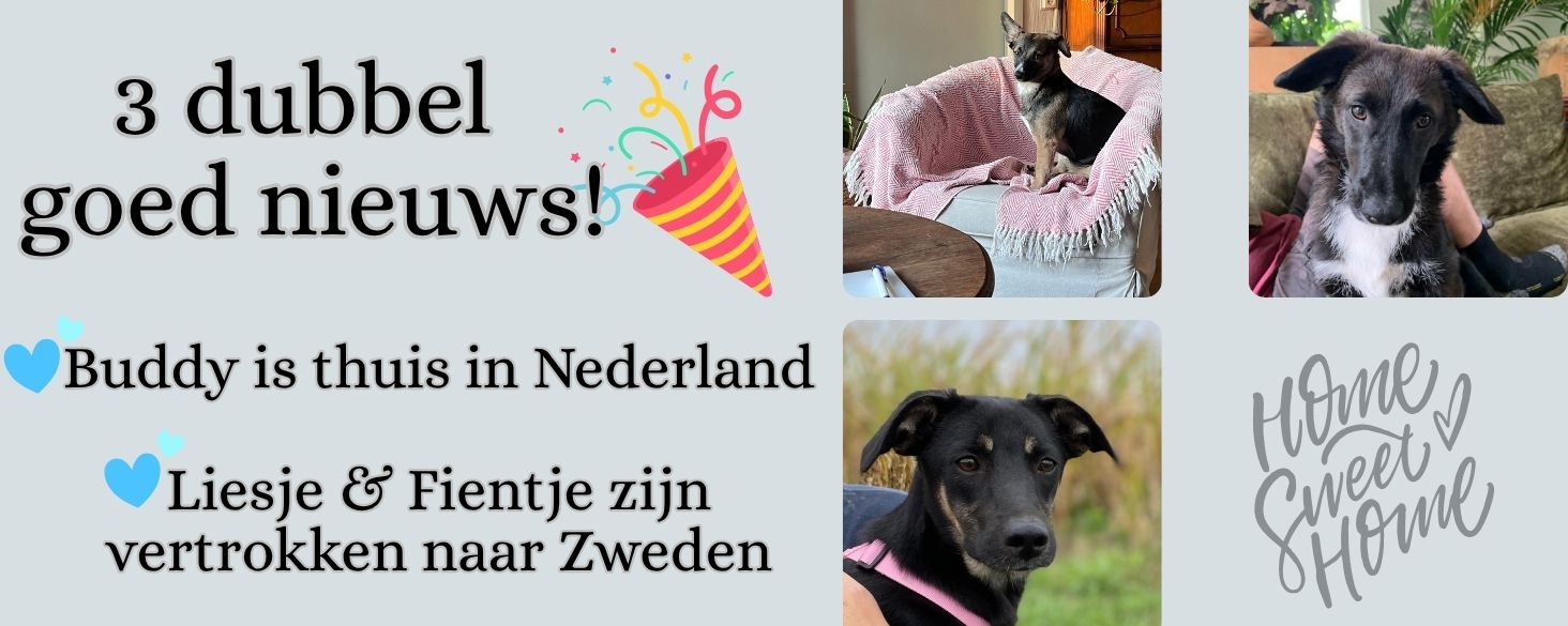 3 dubbel goed nieuws