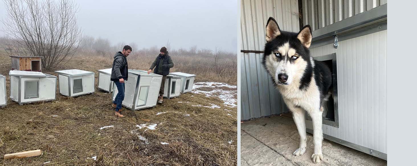 donatie abri voor dieren