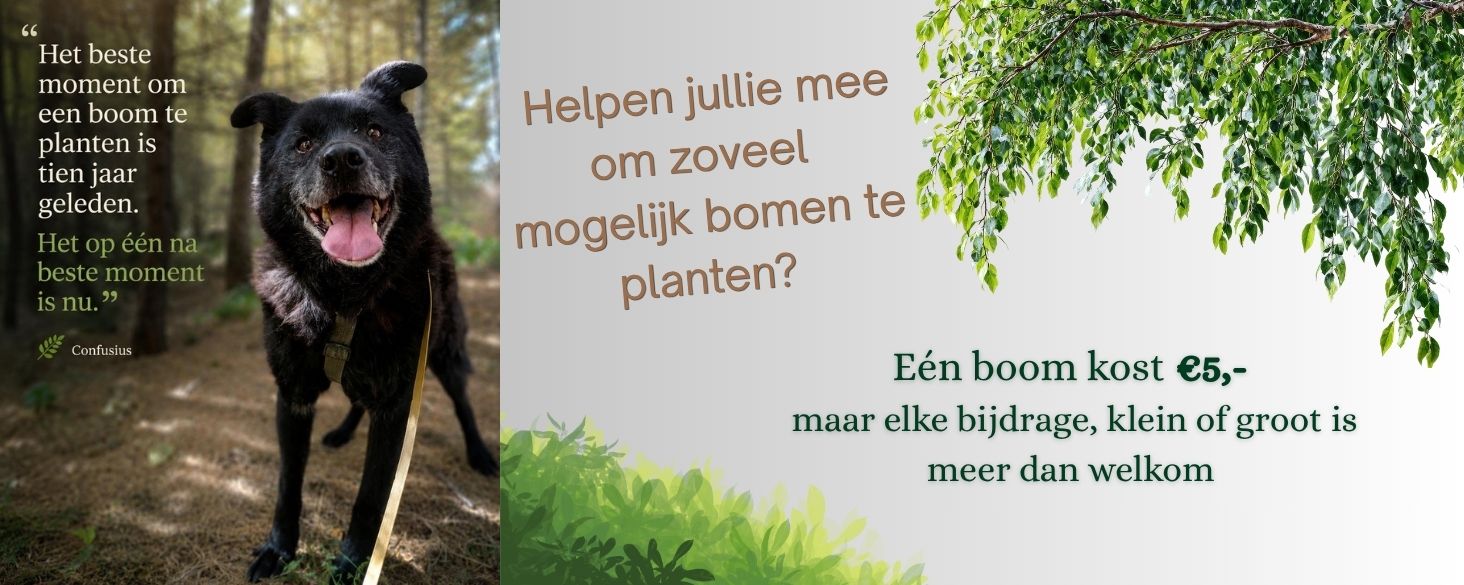 bomenactie-elisa-asiel