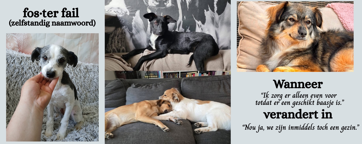foster fail