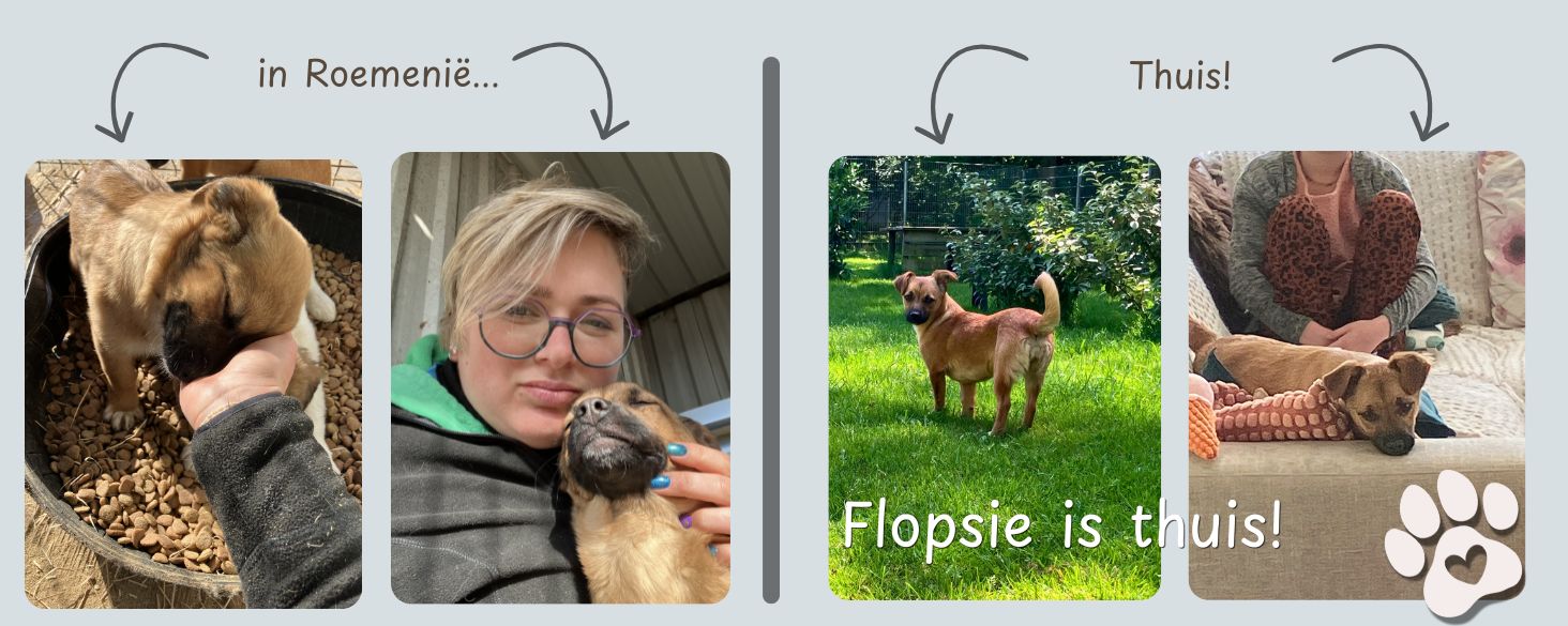 flopsie is thuis