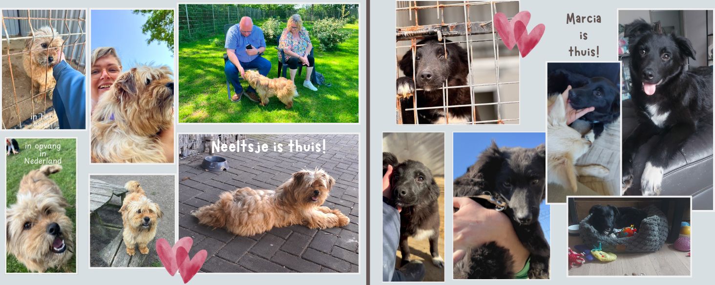 neeltsje en marcia zijn geadopteerd