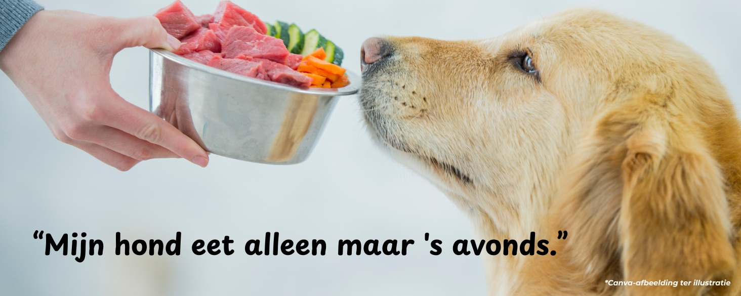 voedingsadvies