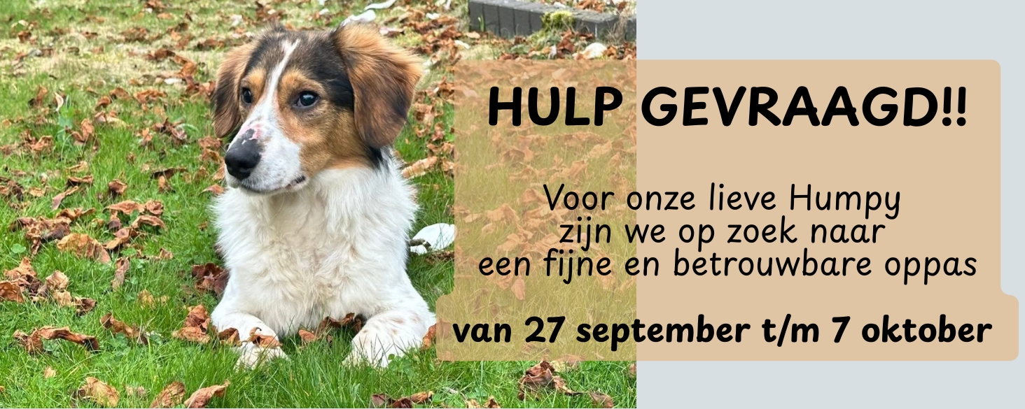 Hulp gevraagd, oppas voor Humpy