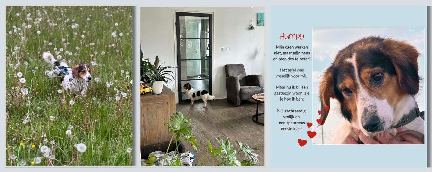 humpy wacht nog steeds