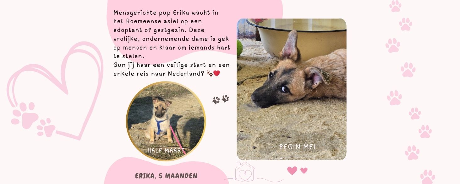 mensgerichte pup erika