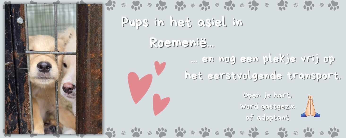 flopsie is thuis