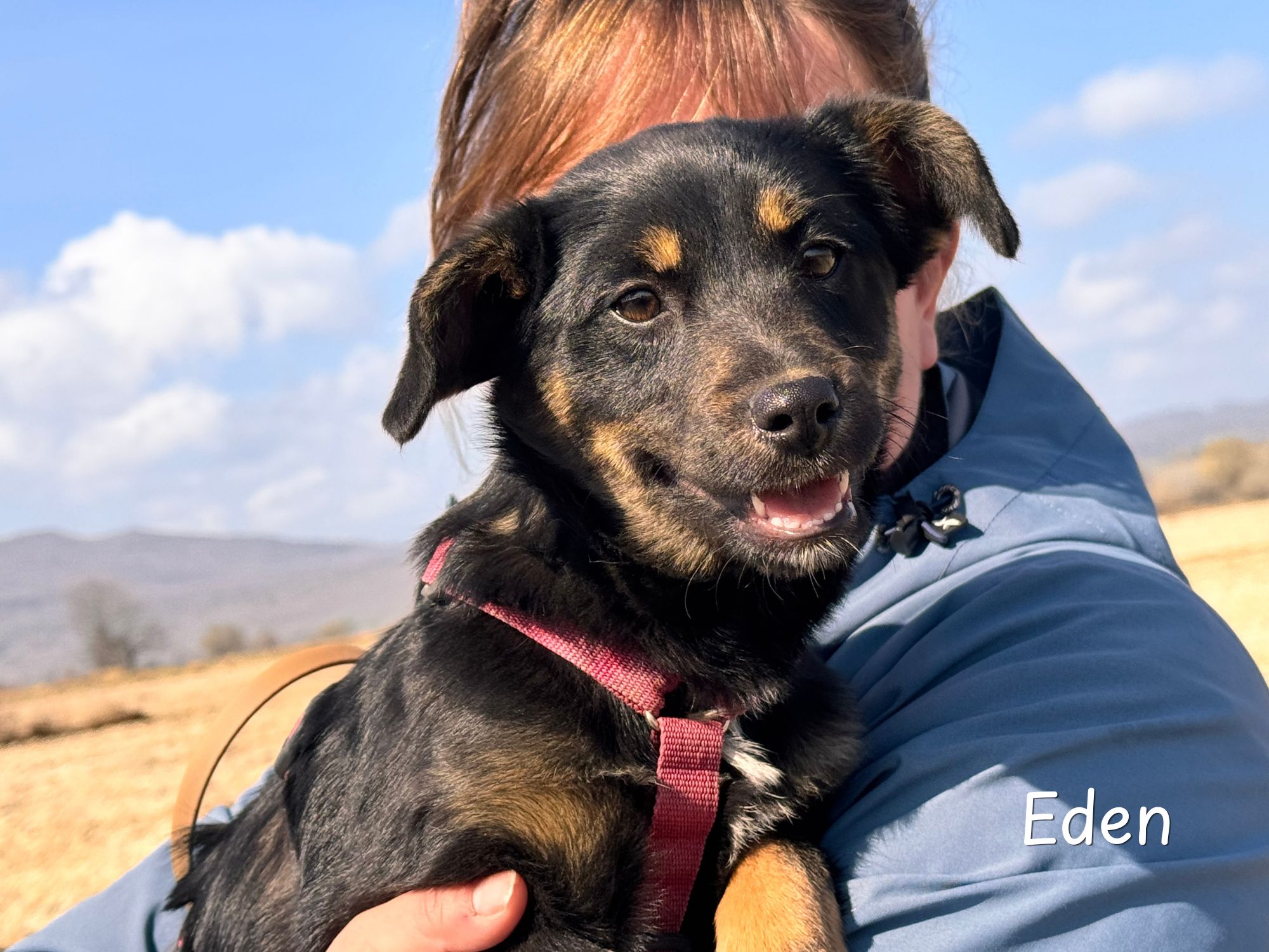 eden ter adoptie