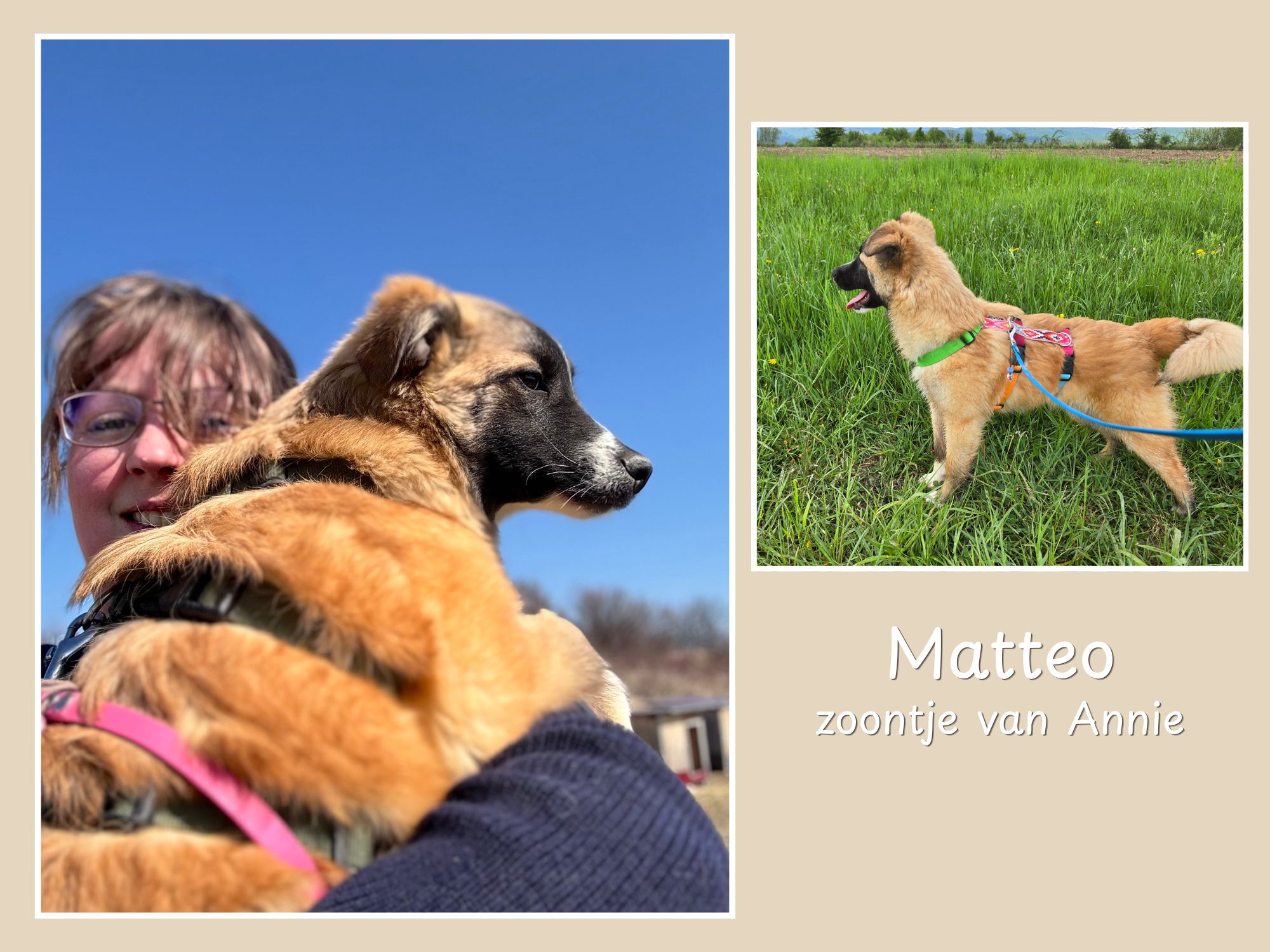 matteo ter adoptie