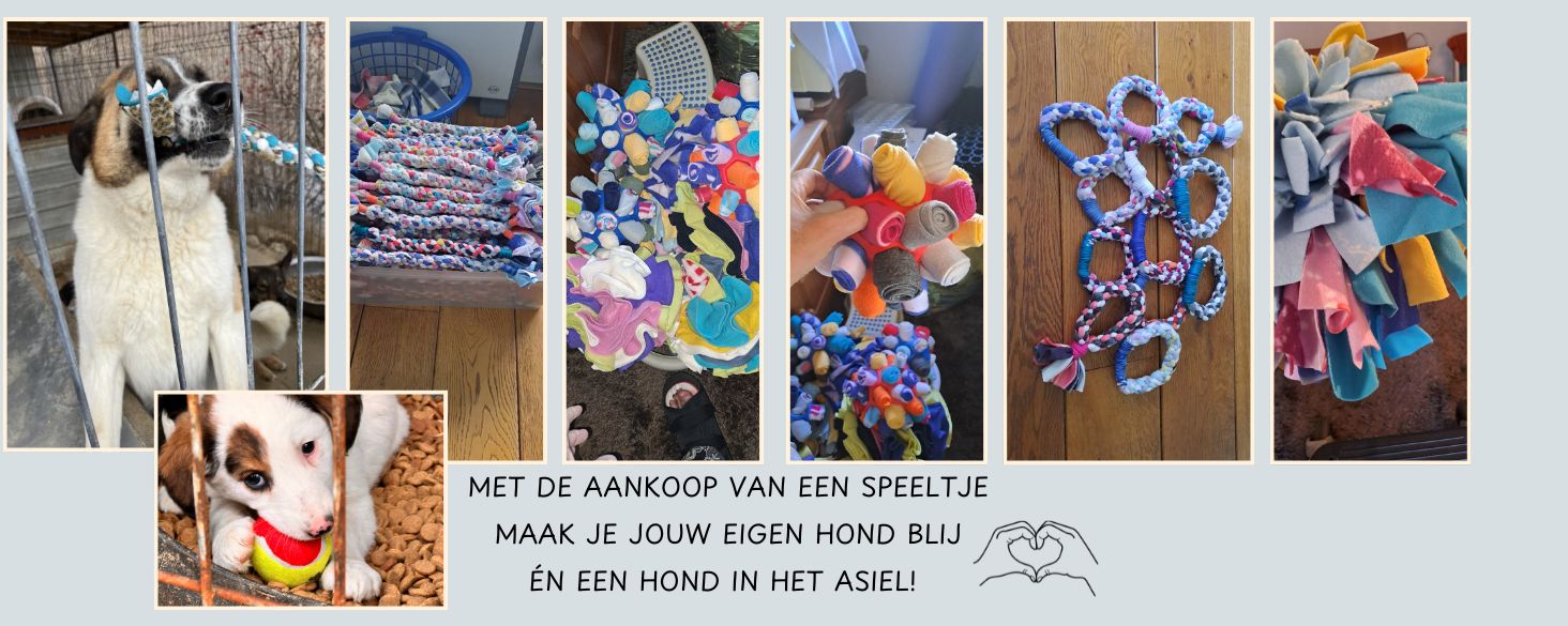 speelgoed voor asiel honden