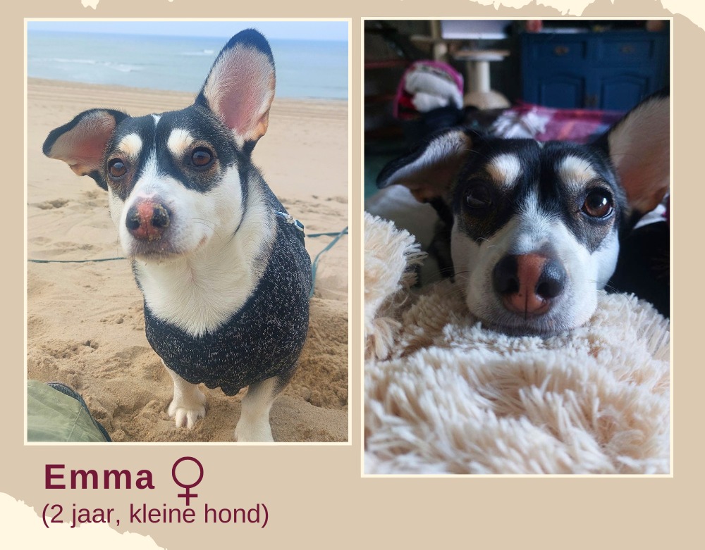 Emma ter adoptie