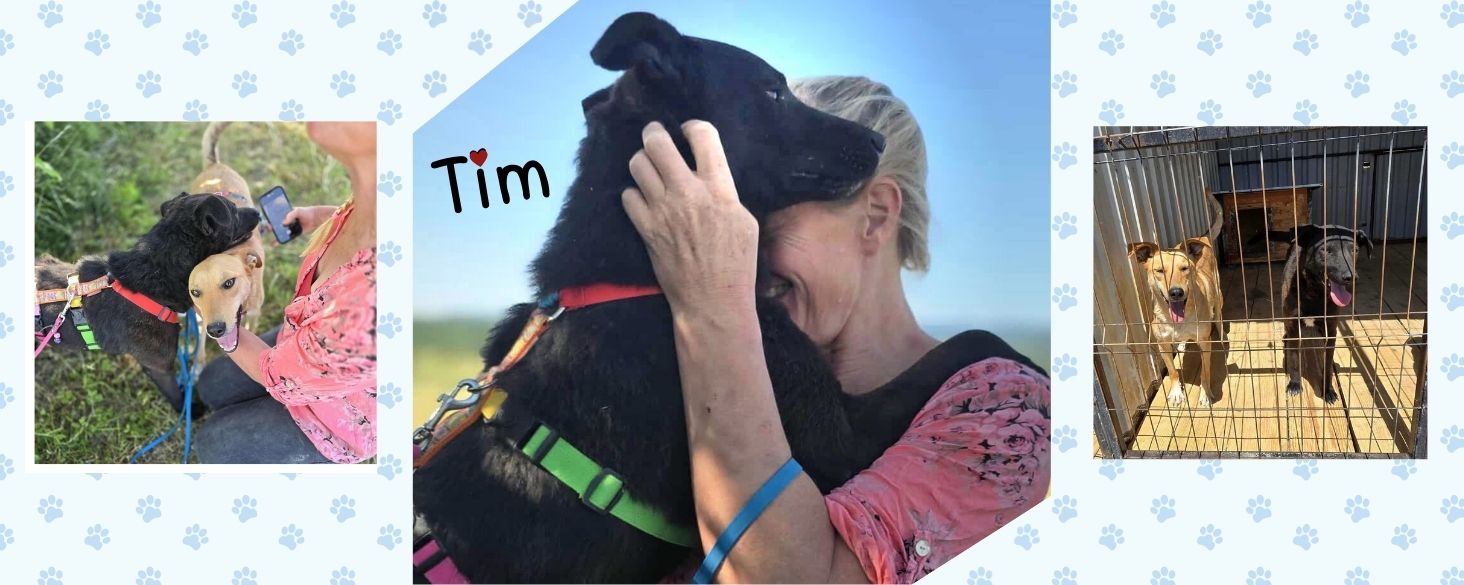 Tim blijft alleen achter en zoekt een nieuw maatje