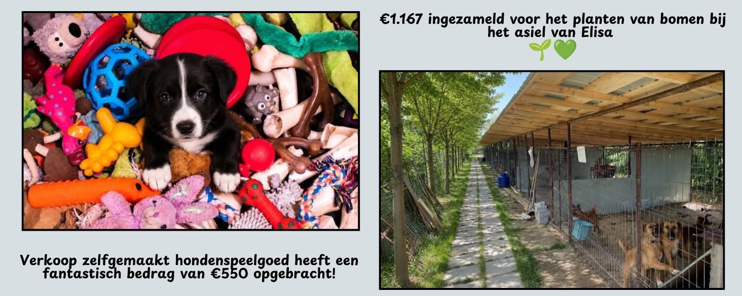 Update opbrengst acties juni 2026