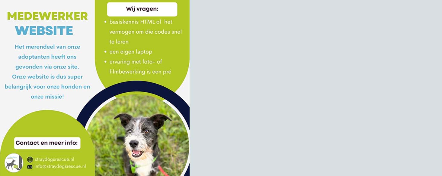 vacature vrijwilligerswerk zwerf- en asielhonden