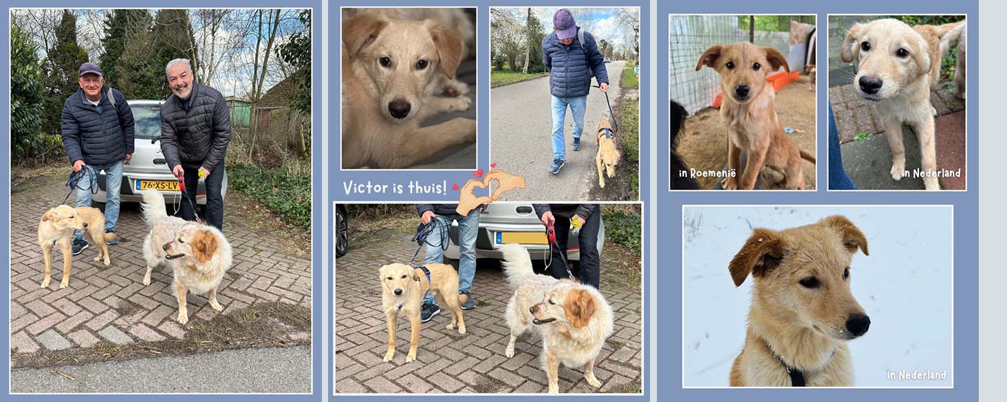 victor geadopteerd