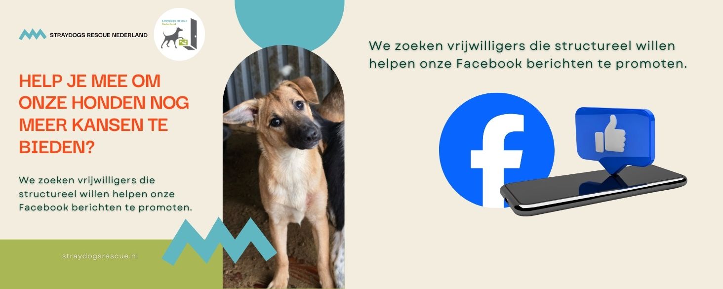 vrijwilligerswerk honden